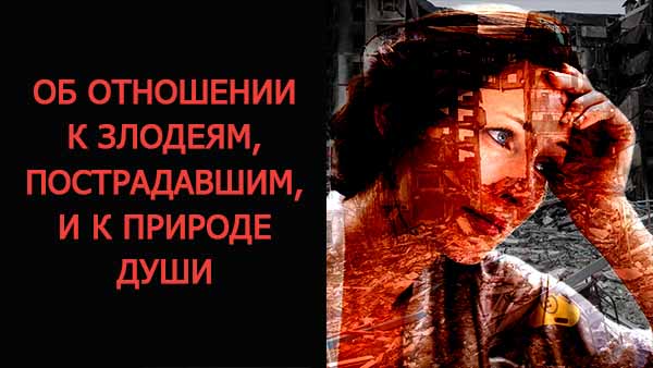 Смотреть видео