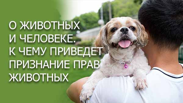 Смотреть видео