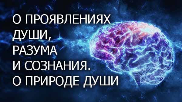 Смотреть видео