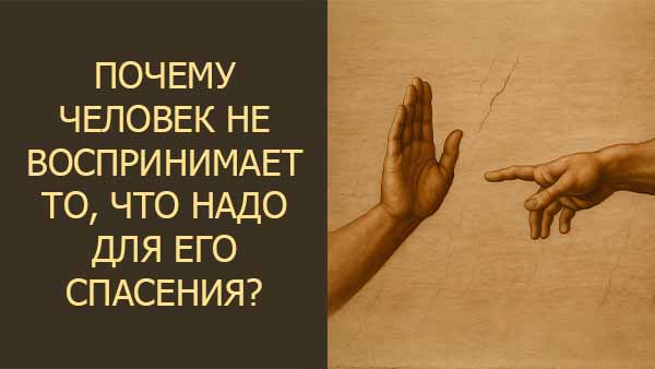 Смотреть видео