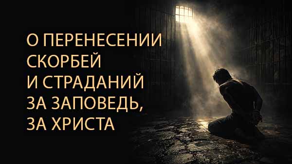 Смотреть видео