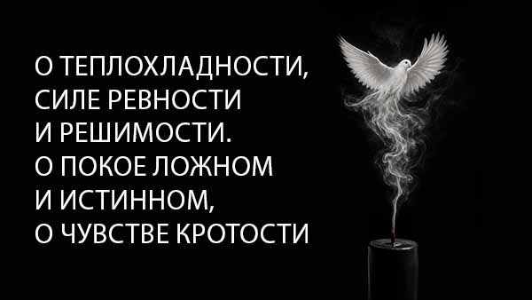 Смотреть видео