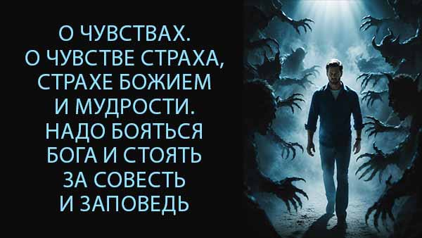 Смотреть видео