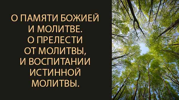 Смотреть видео
