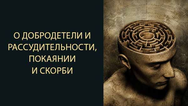 Смотреть видео