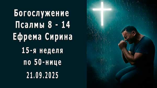 Смотреть видео