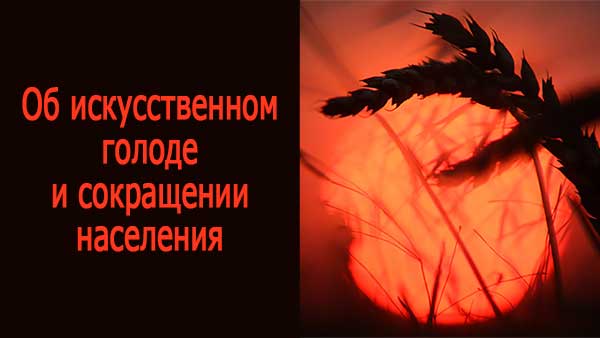 Смотреть видео