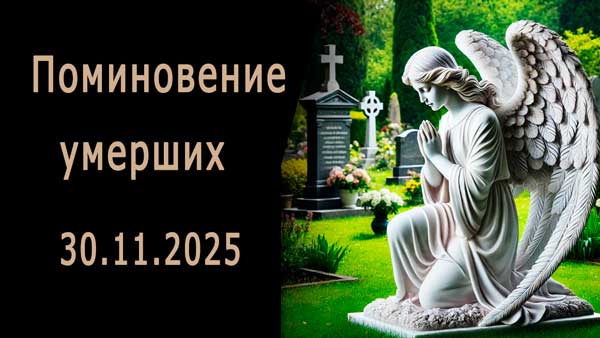 Смотреть видео