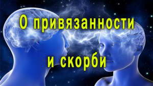 Смотреть видео