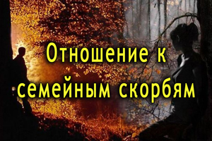 Смотреть видео