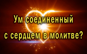 Смотреть видео