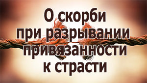 Смотреть видео