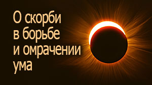 Смотреть видео