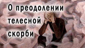 Смотреть видео