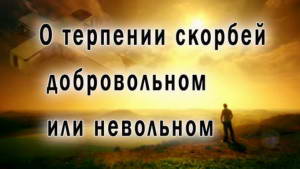 Смотреть видео